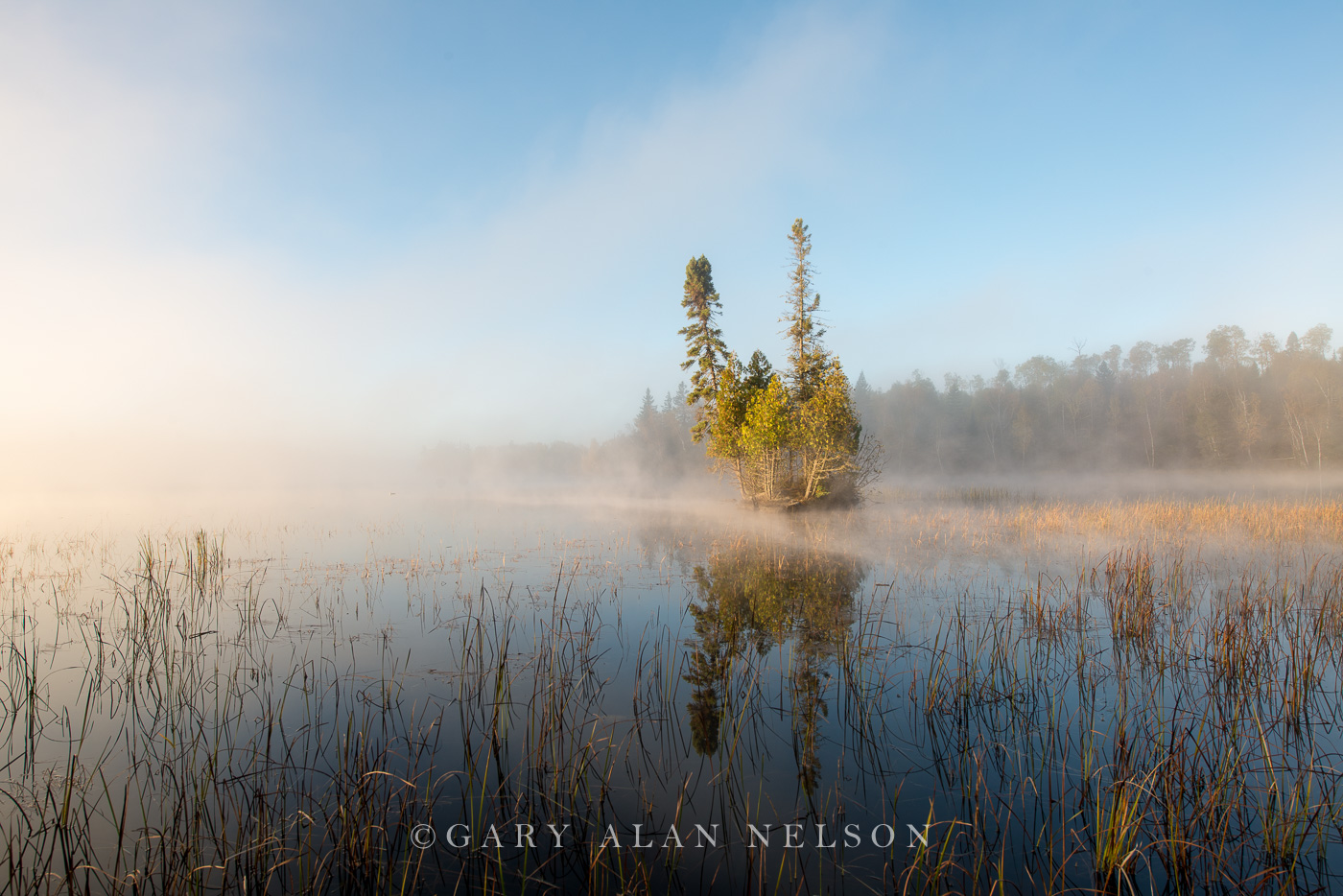 Morning light on island, Superior National Forest, Minnesota