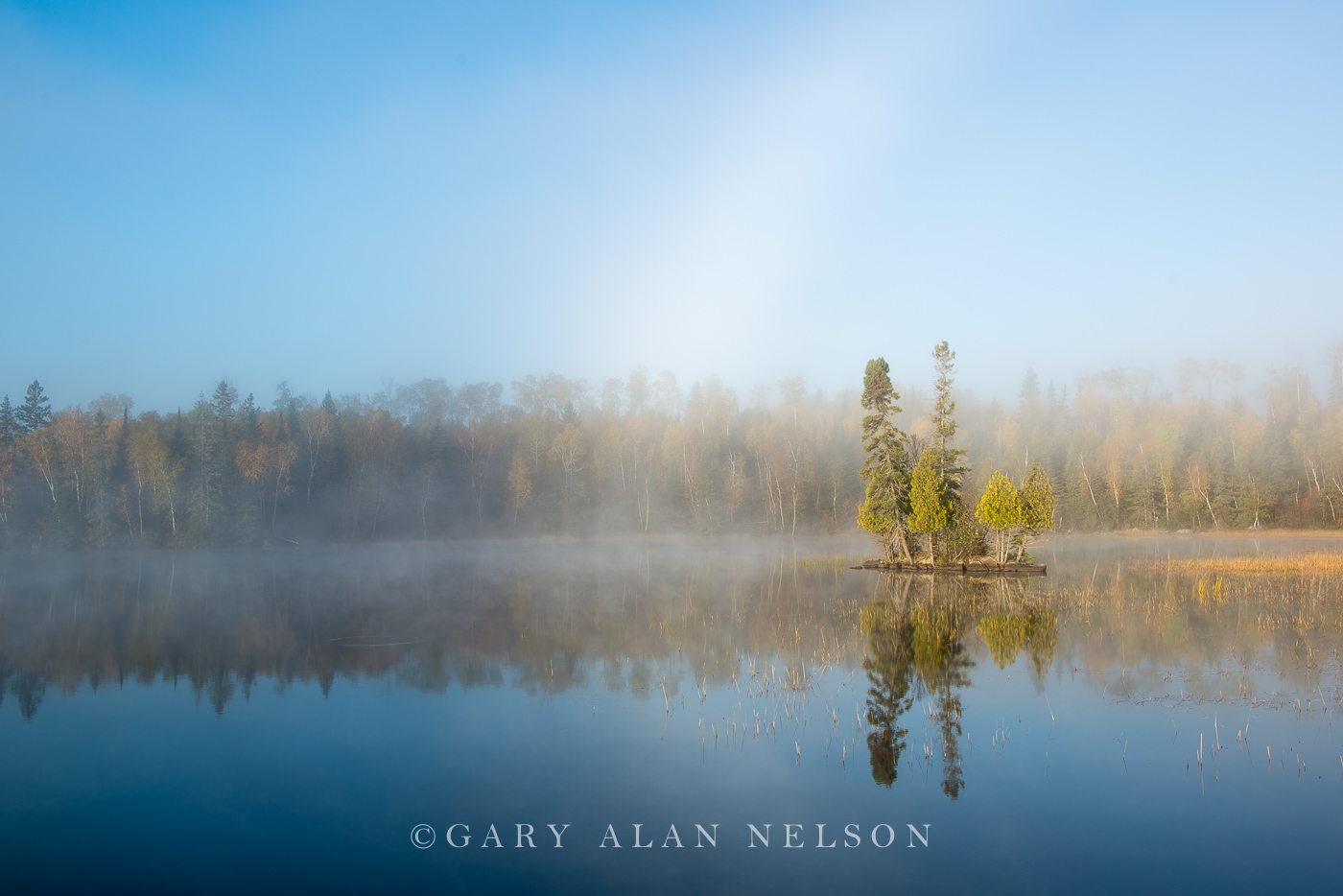 Morning light on island, Superior National Forest, Minnesota