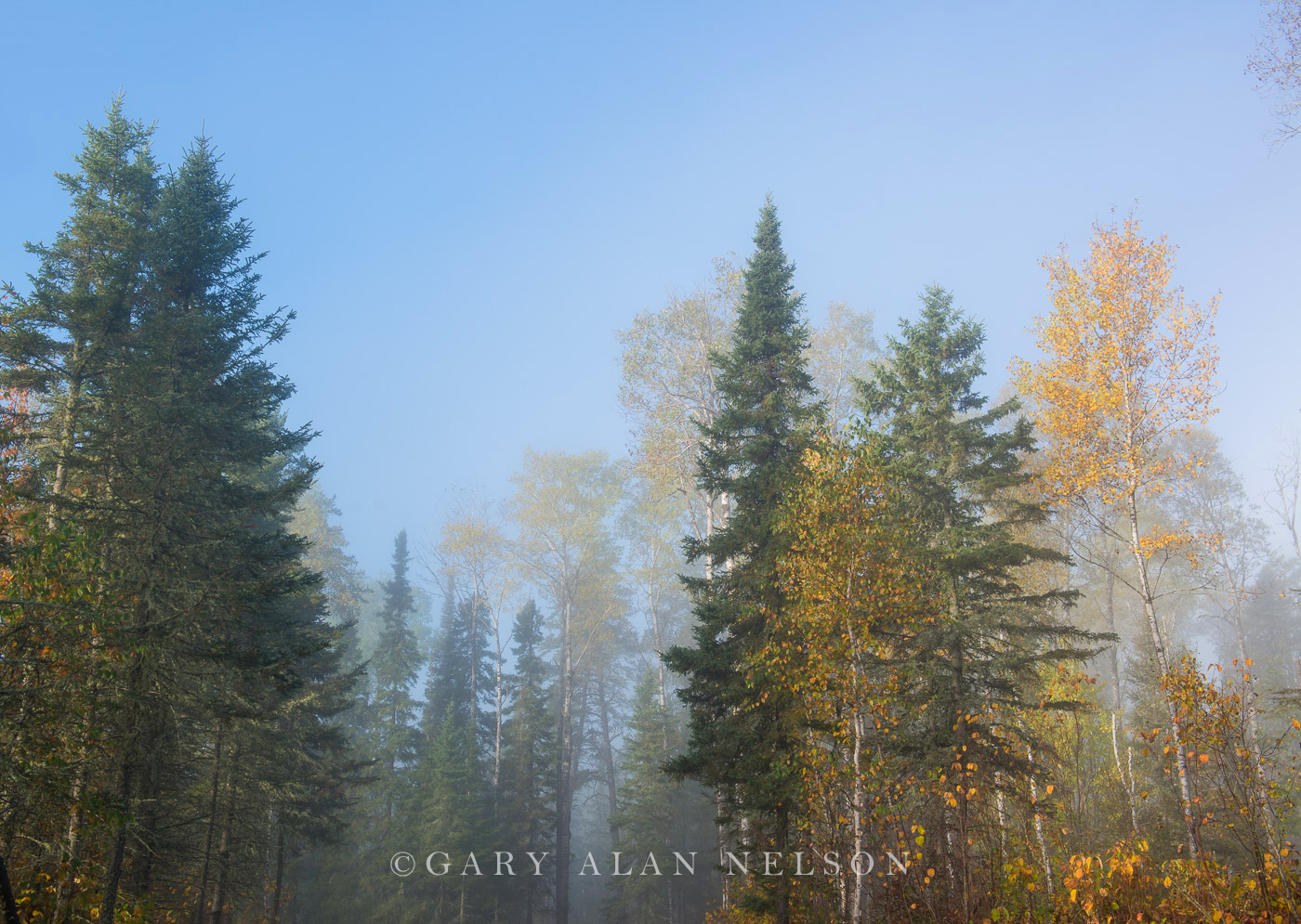 Fog over Superior National Forest in autumn, Minnesota