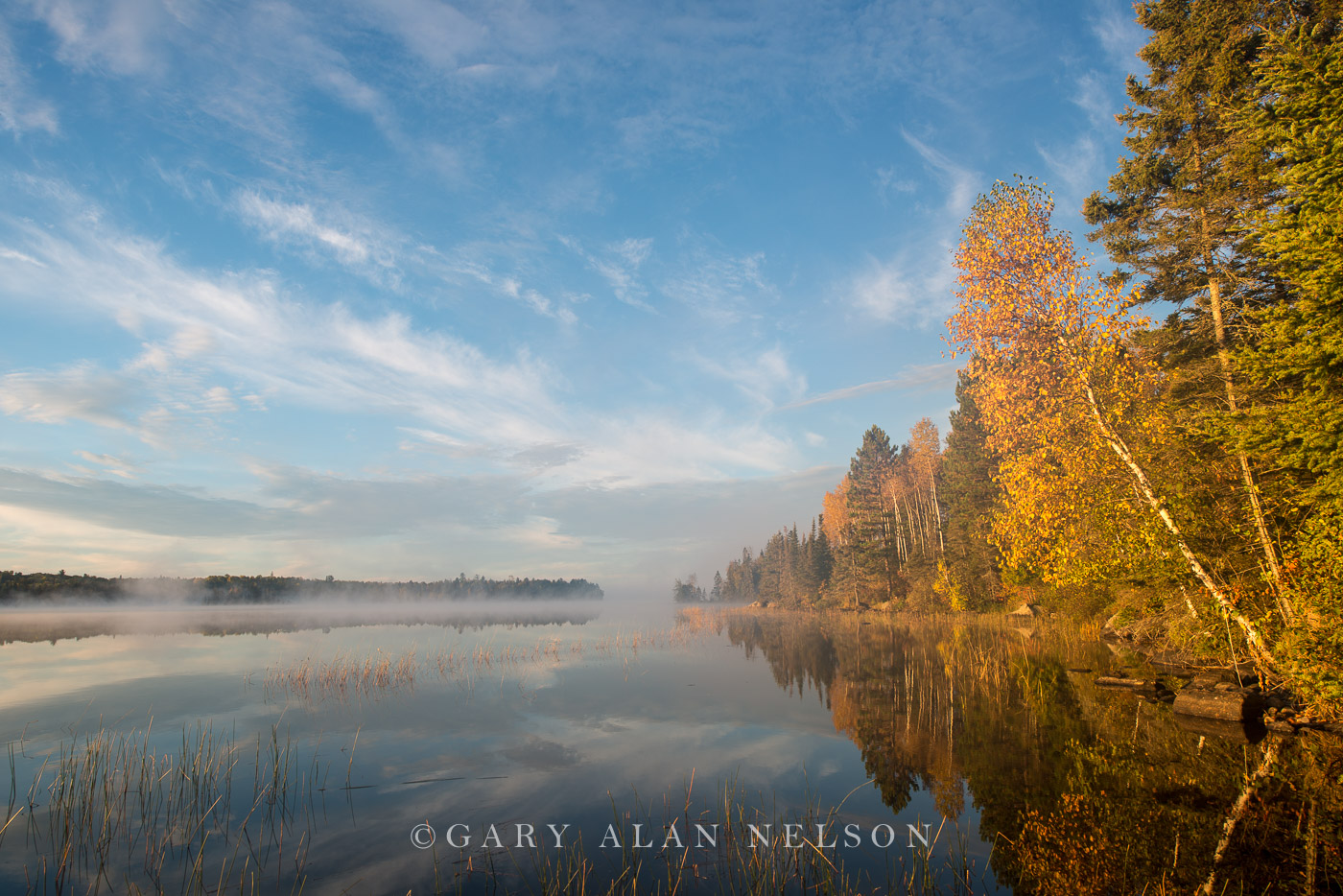 Autumn shoreline of Superior National Forest, Minnesota