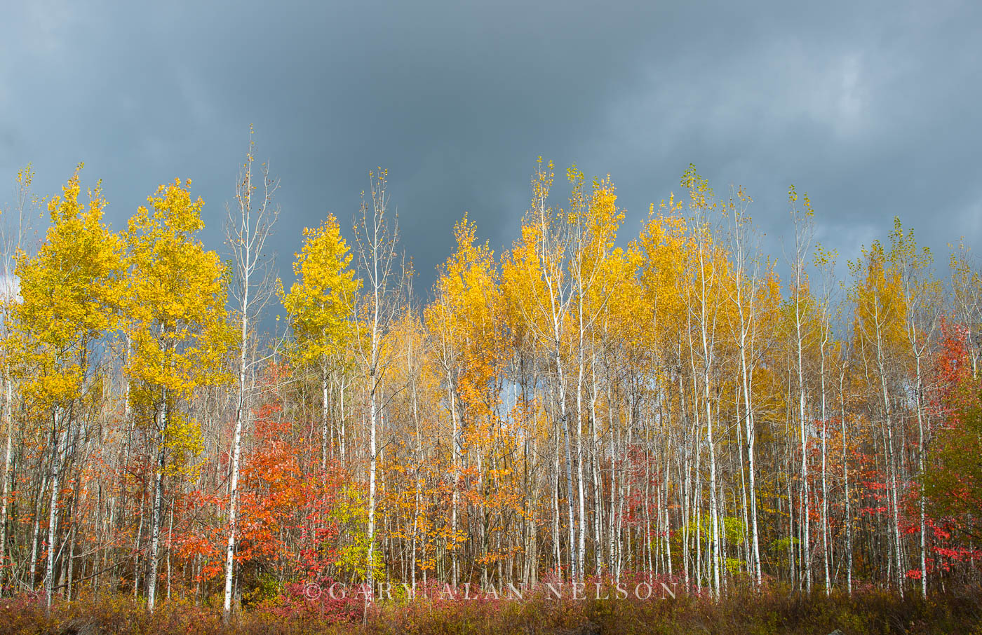 Autumn colors and clouds in the Superior National Forest, Minnesota.