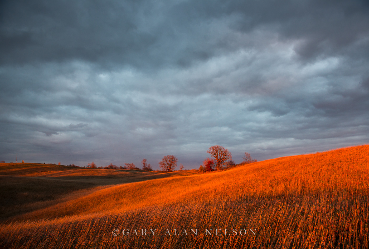 Rolling prairie, clouds, and evening light, Lake Brophy Park, Douglas County, Minnesota