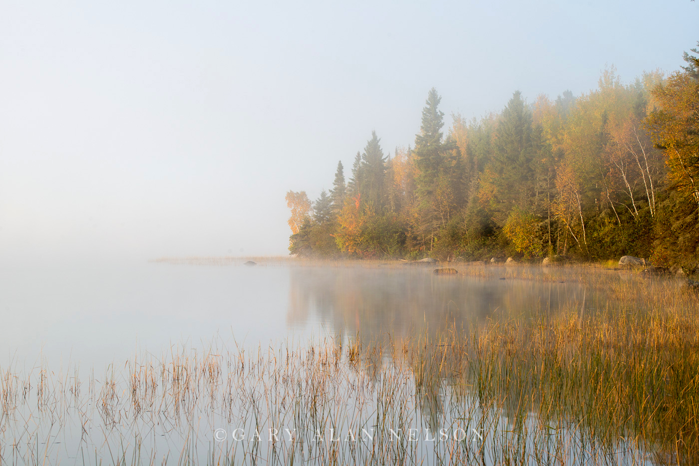 Autumn fog along lake, Superior National Forest, Minnesota