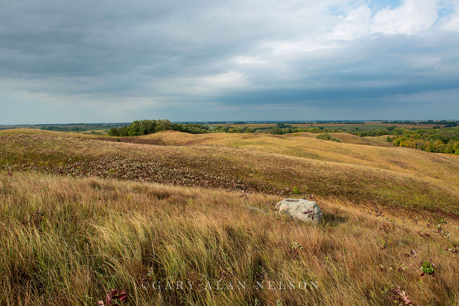 Rolling glacial moraine and glacial erratics on the prairie, Glacial Lakes State Park, Minnesota