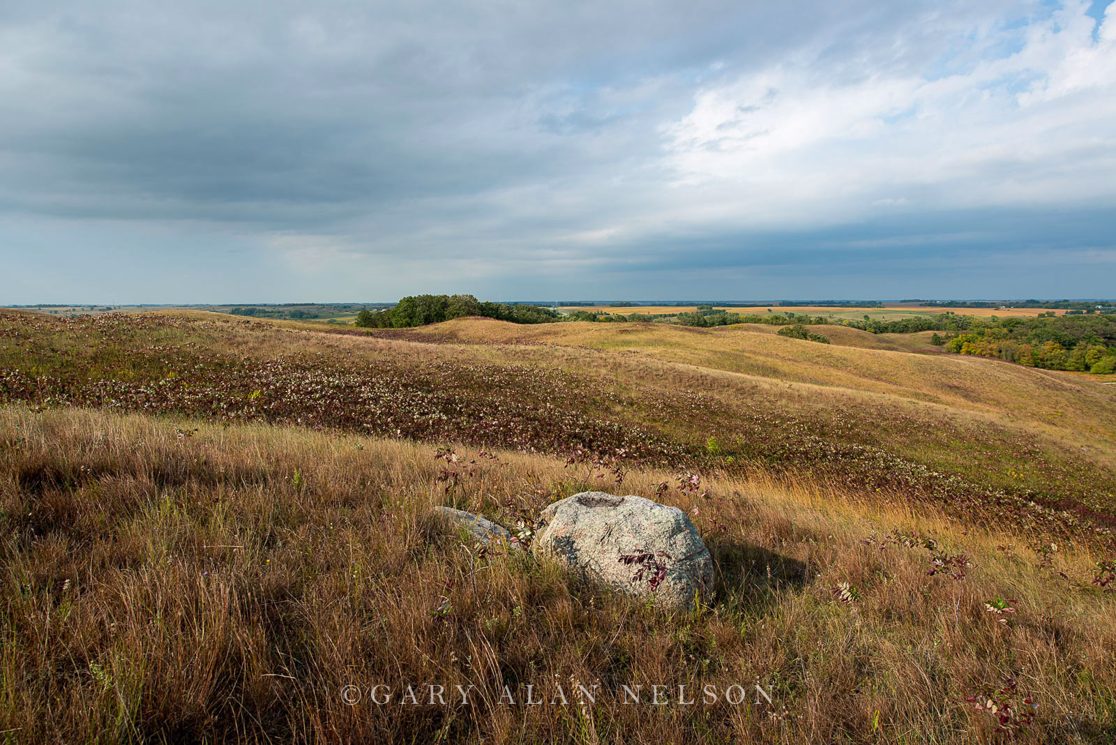 Rolling glacial moraine and glacial erratics on the prairie, Glacial Lakes State Park, Minnesota