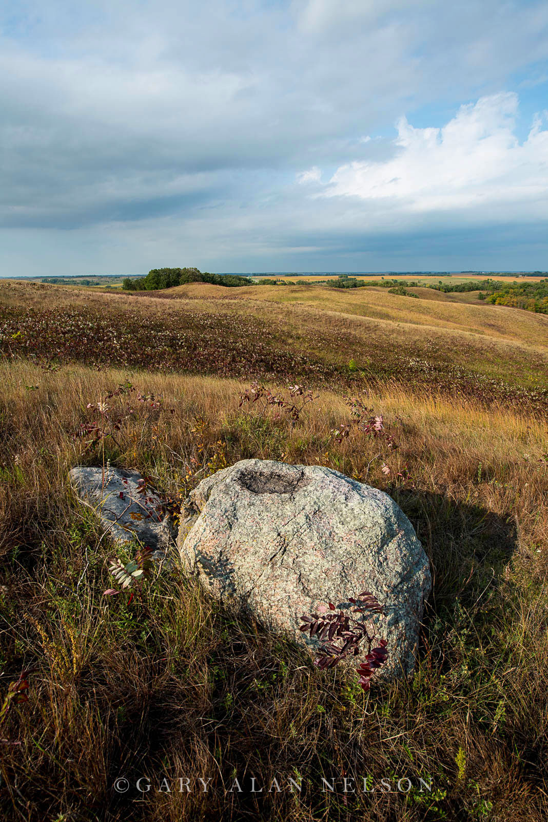 Rolling glacial moraine and glacial erratics on the prairie, Glacial Lakes State Park, Minnesota