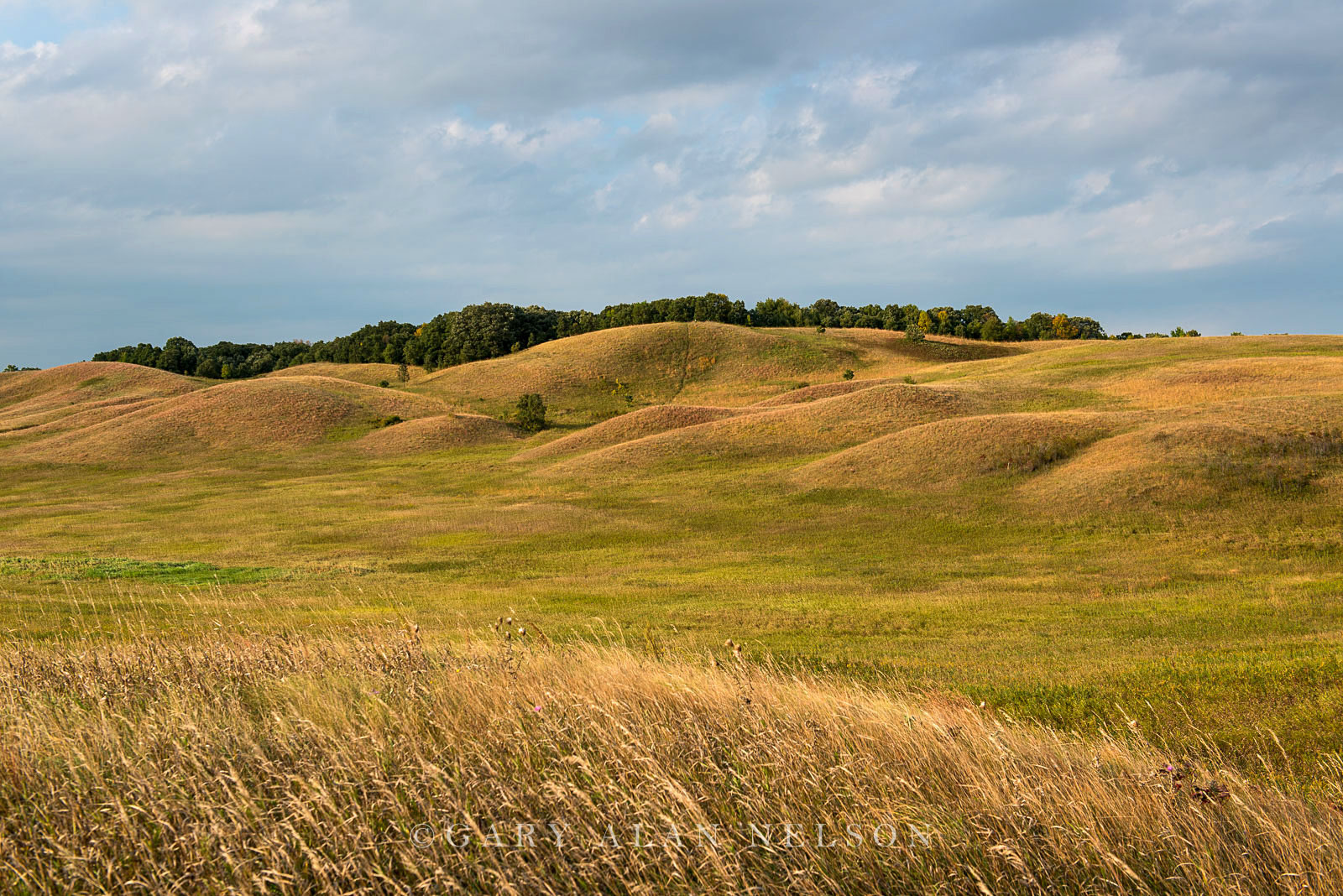 Rolling glacial moraine on the prairie, Glacial Lakes State Park, Minnesota