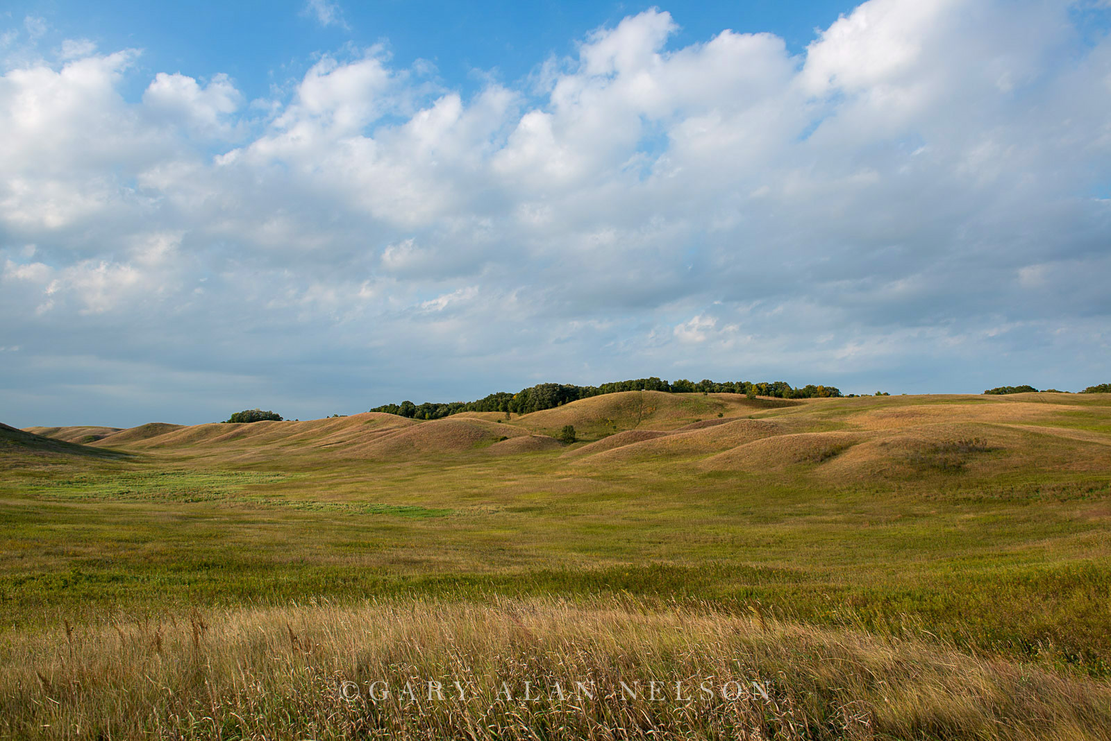 Rolling glacial moraine on the prairie, Glacial Lakes State Park, Minnesota