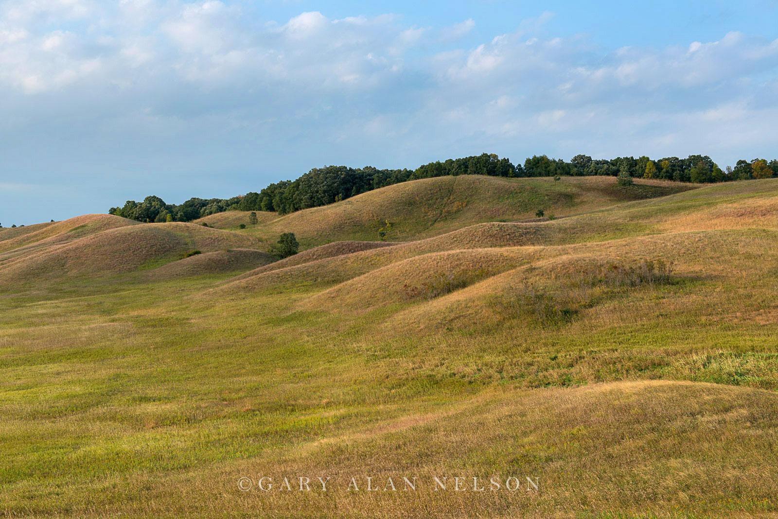 Rolling glacial moraine on the prairie, Glacial Lakes State Park, Minnesota