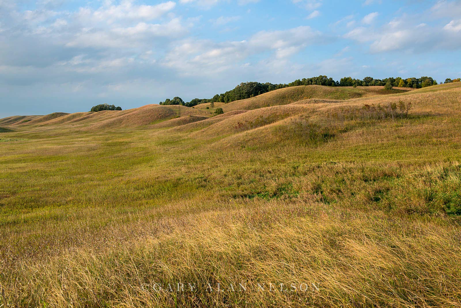 Rolling glacial moraine on the prairie, Glacial Lakes State Park, Minnesota