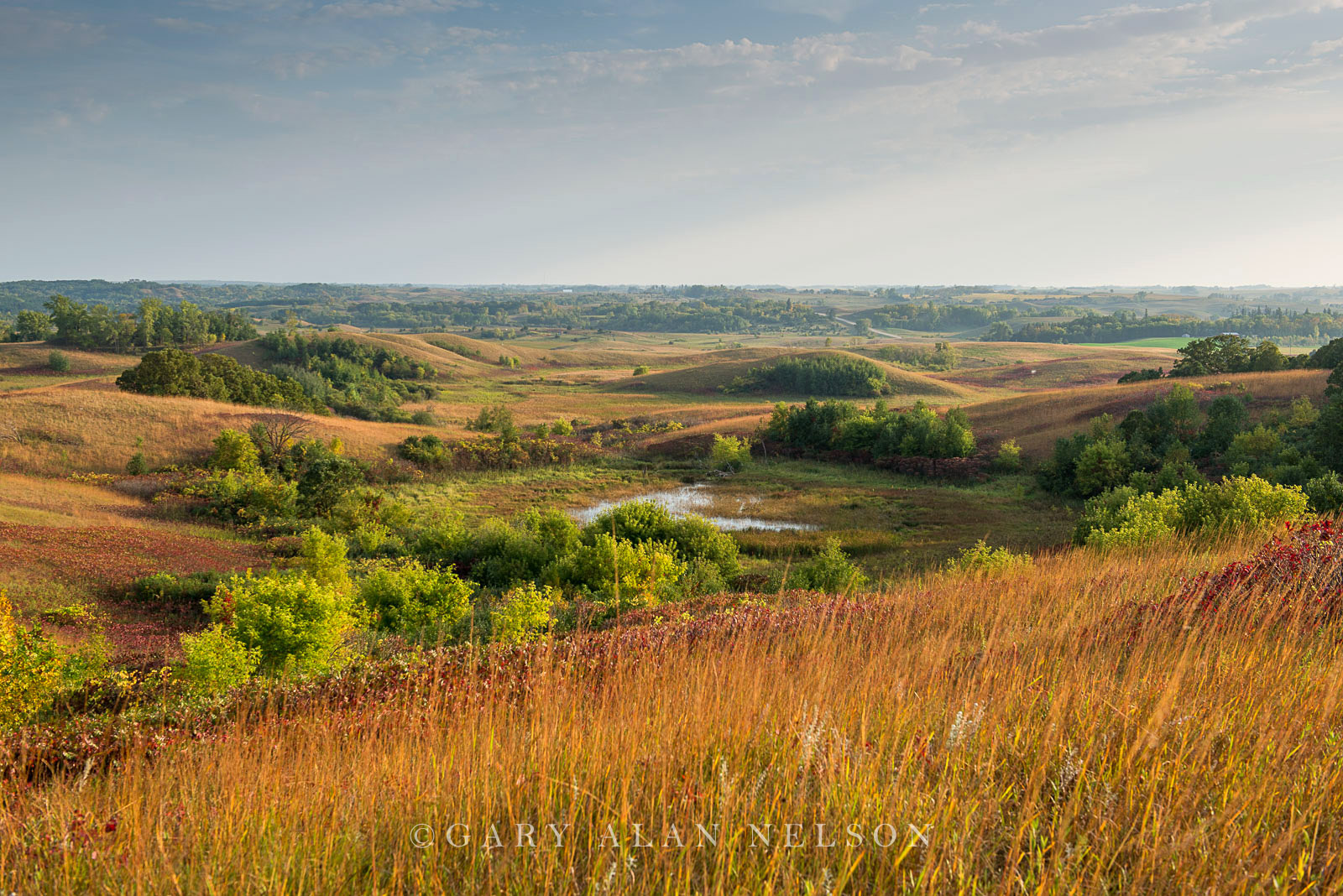 Glacial moraine and prairie grasses at the Nature Conservancy's Ordway Prairie, south central Minnesota