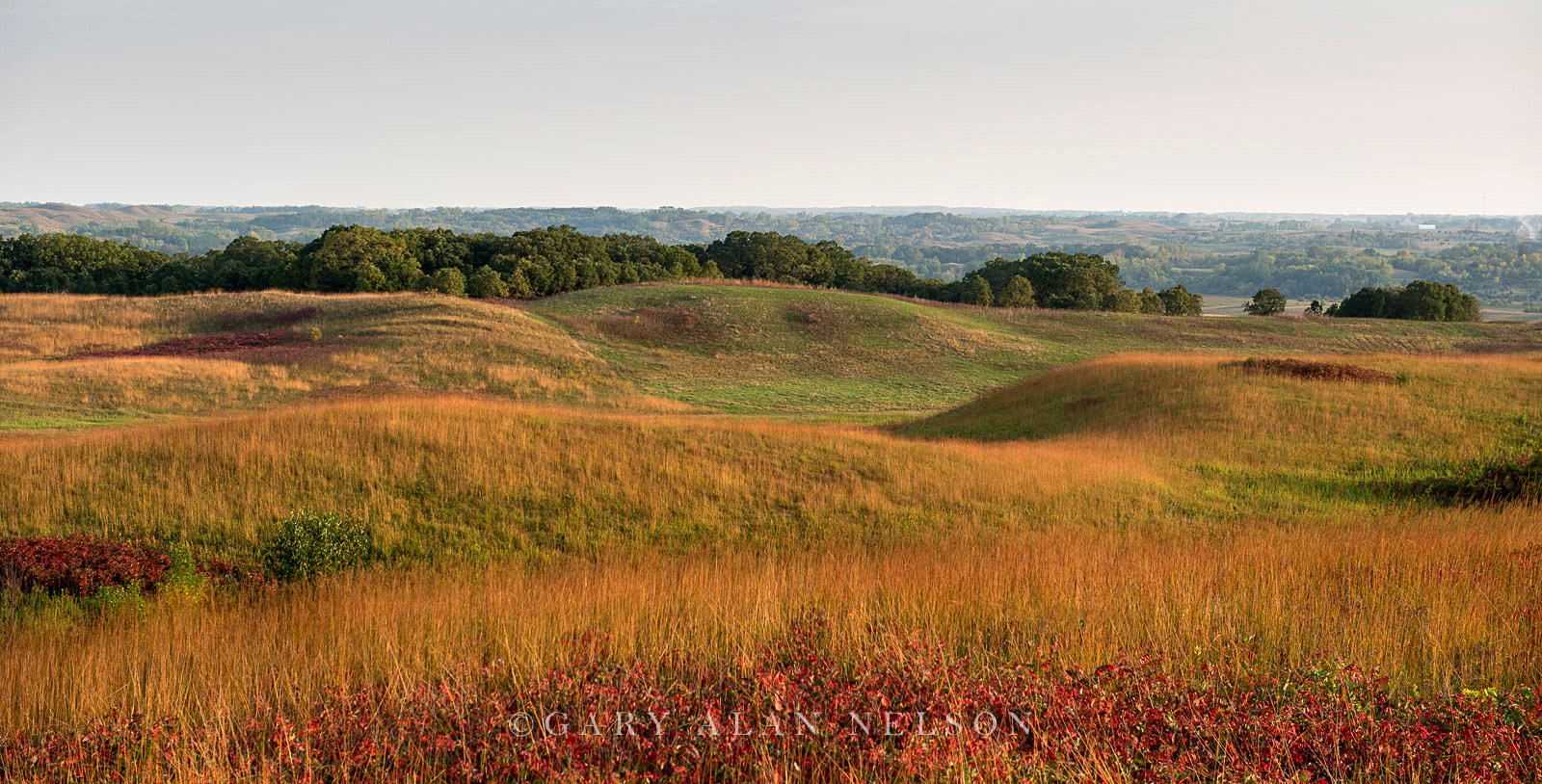 Glacial moraine and prairie grasses at the Nature Conservancy's Ordway Prairie, south central Minnesota