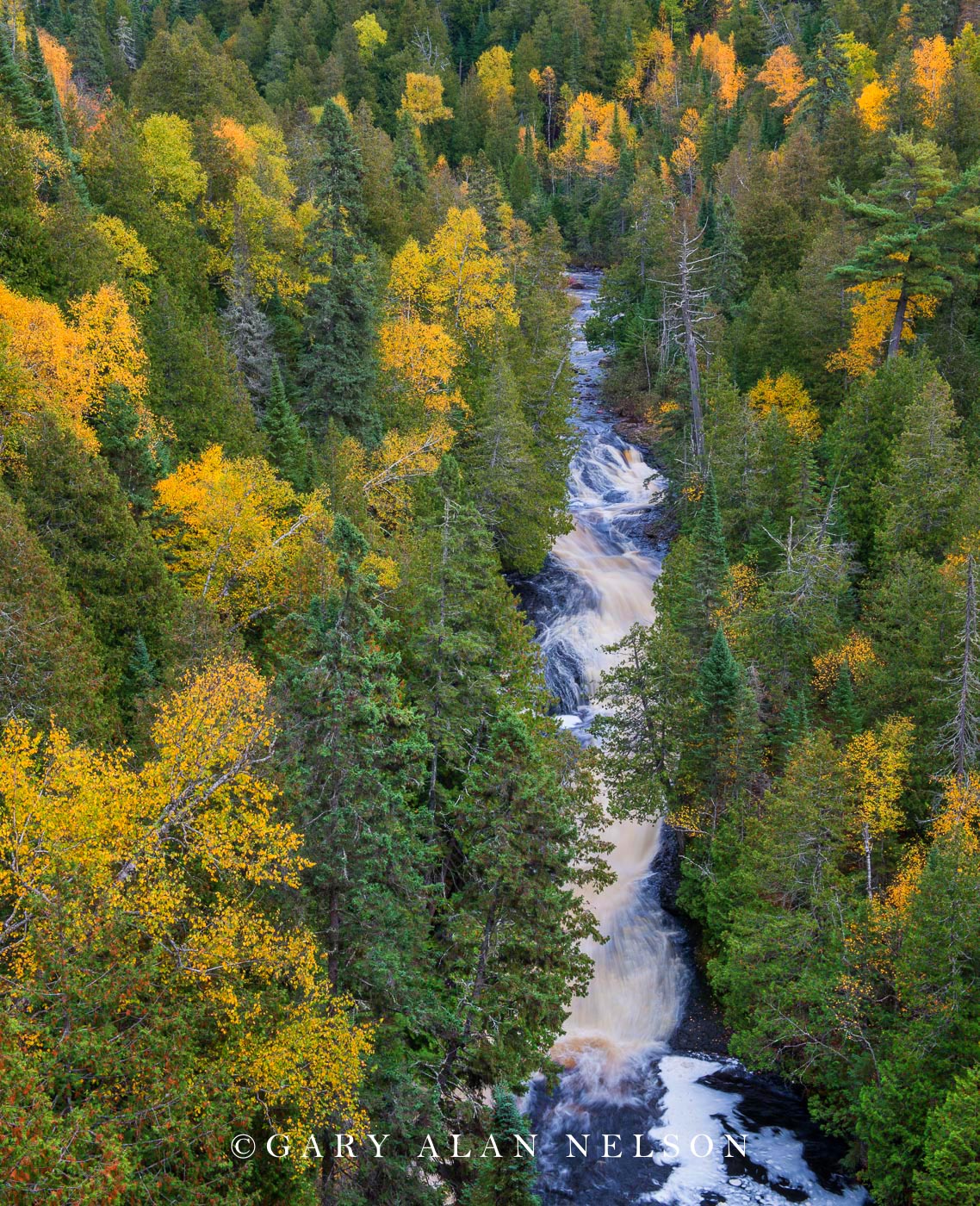 Cascade River in autumn from hikin trail overlook, Cascade River State Park, Minnesota