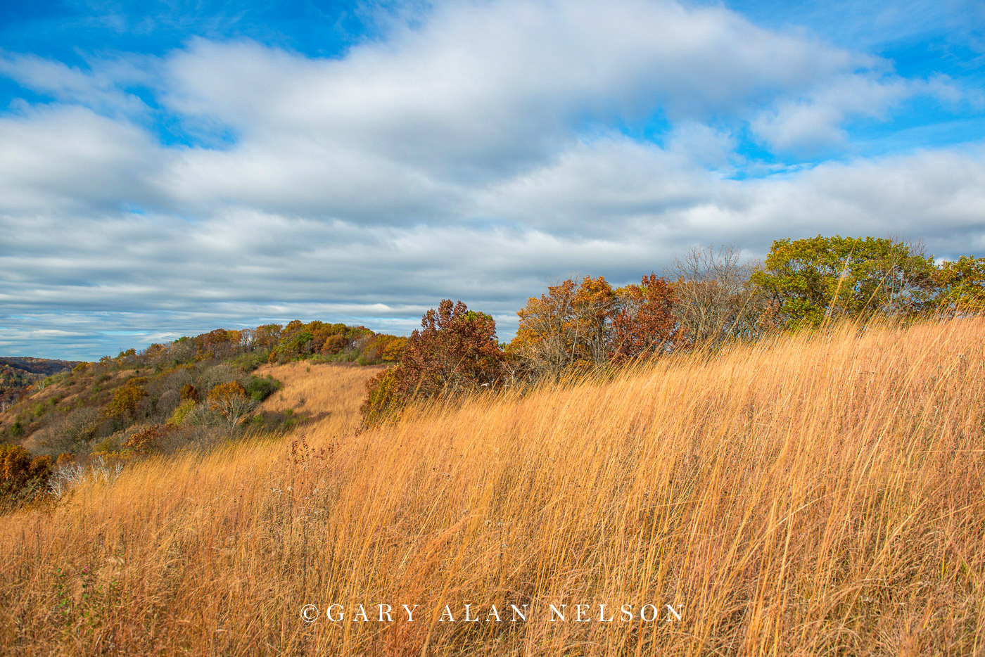 Goat prairie in the driftless area in autumn, Great River Bluffs State Park, Minnesota