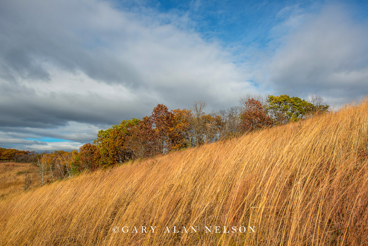 Goat prairie in the driftless area in autumn, Great River Bluffs State Park, Minnesota