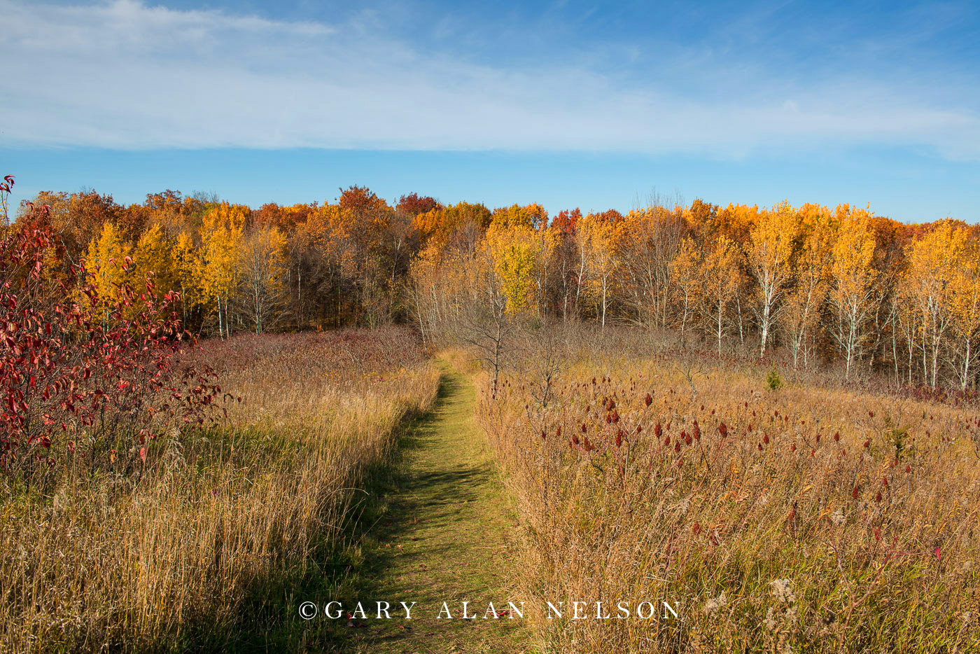 Prairie and woods in autumn at Lake Maria State Park, Minnesota.