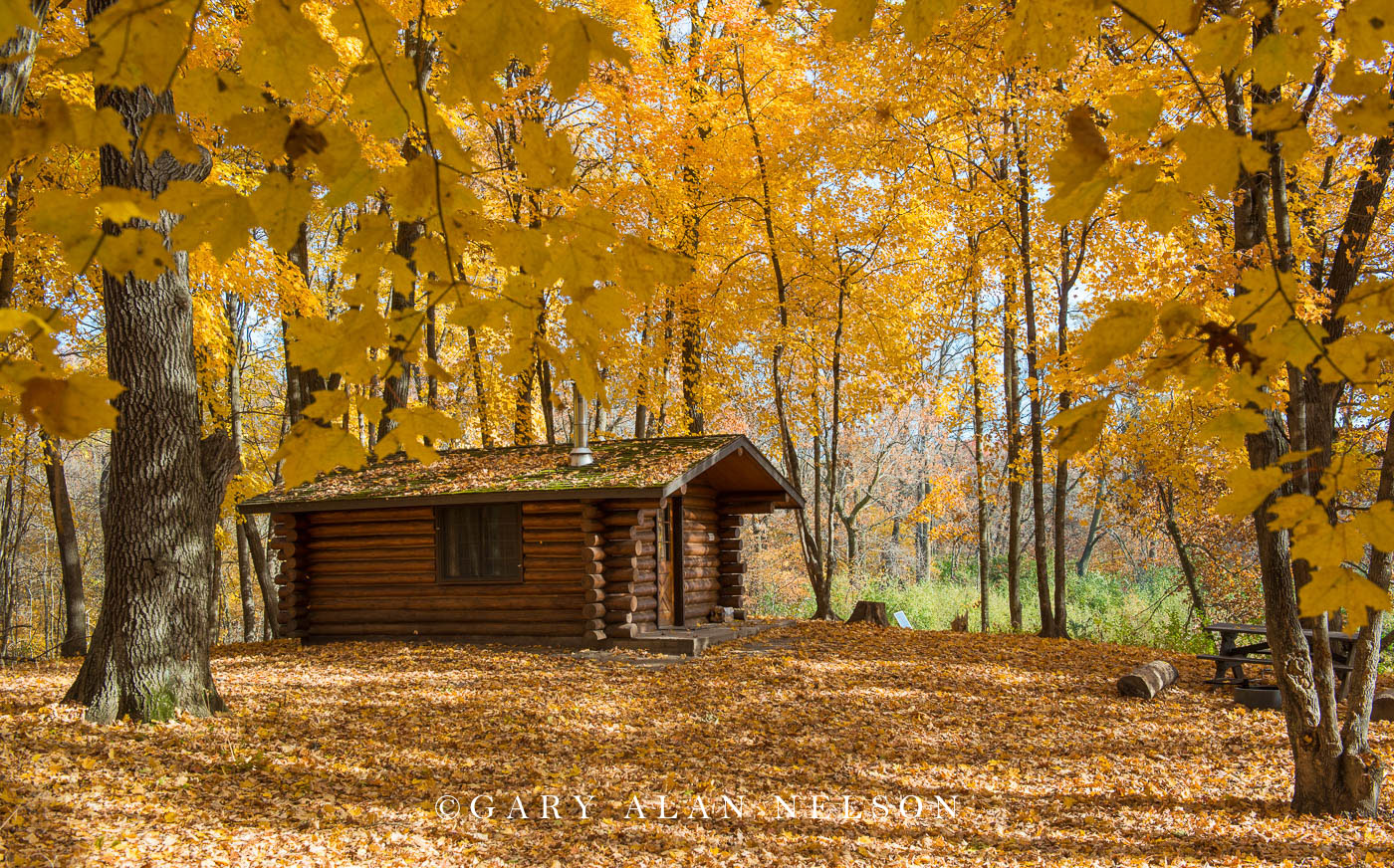 Log cabin in the thros of autumn, Lake Maria State Park, Minnesota