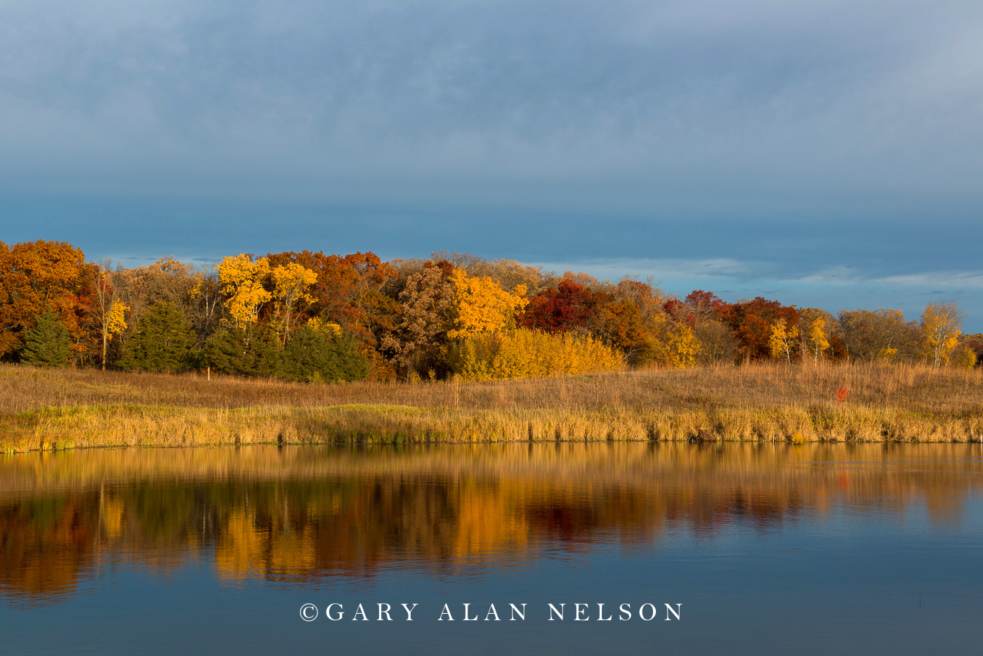 Prairie, woods and pond in autumn, Sibley State Park, Minnesota