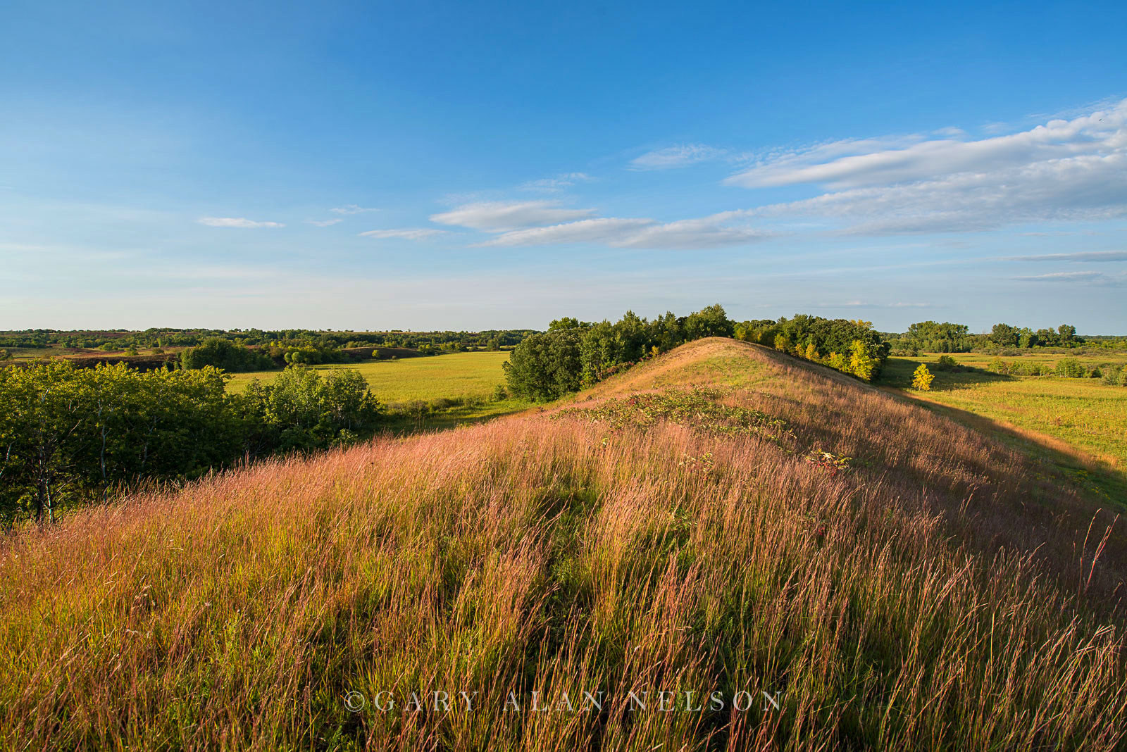 Esker on prairie, Lake Johanna Esker Wildlife Management Area, Nature Conservancy, Minnesota