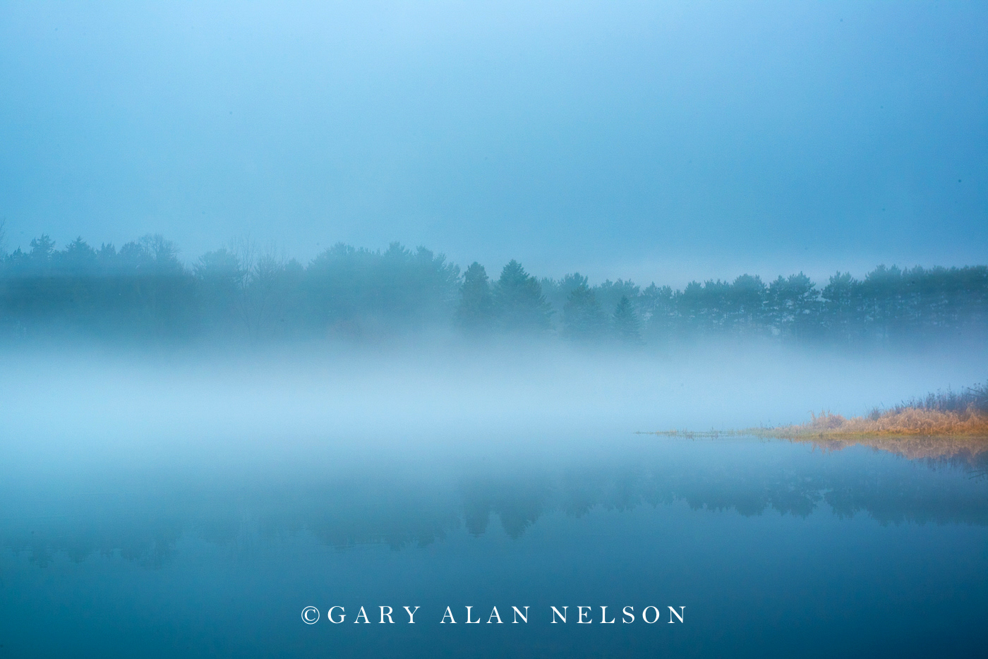 Fog over Bull Lake, Allemansratt Park, Lindstrom, Minnesota