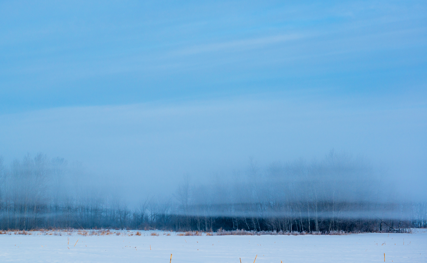 Floating fog over fresh snow and forest, Chisago County, Minnesota.