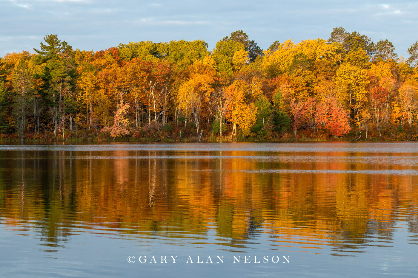 Autumn morning on Loon Lake, Savannah Portage State Park, Minnesota