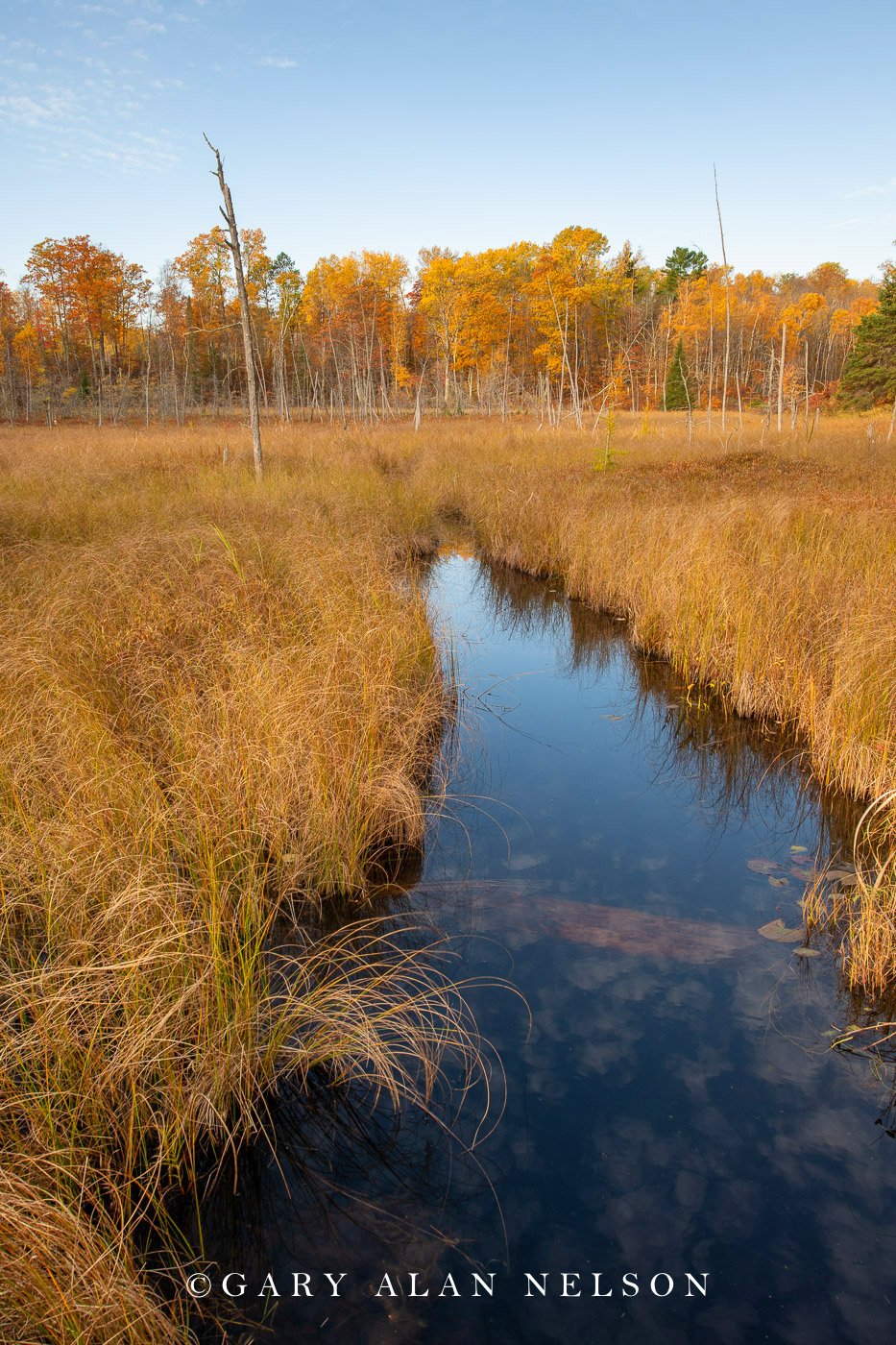 Autumn colors around a beaver pond, Savannah Portage State Park, Minnesota