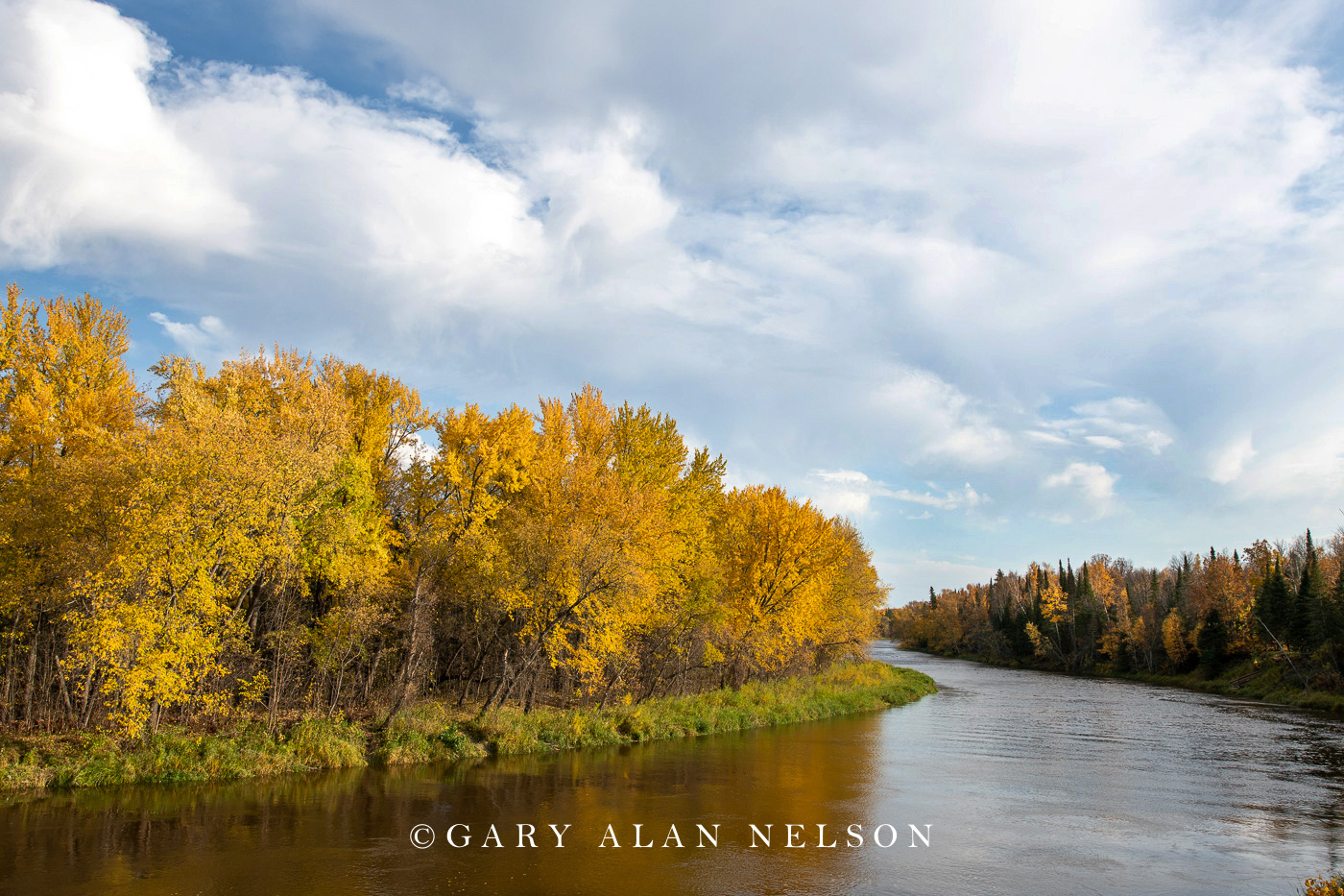 Autumn along the Mississippi River, Aitkin County, Minnesota