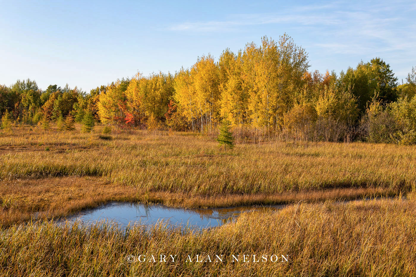 Creek and marsh in autumn, Rice Lake National Wildlife Area, Minnesota