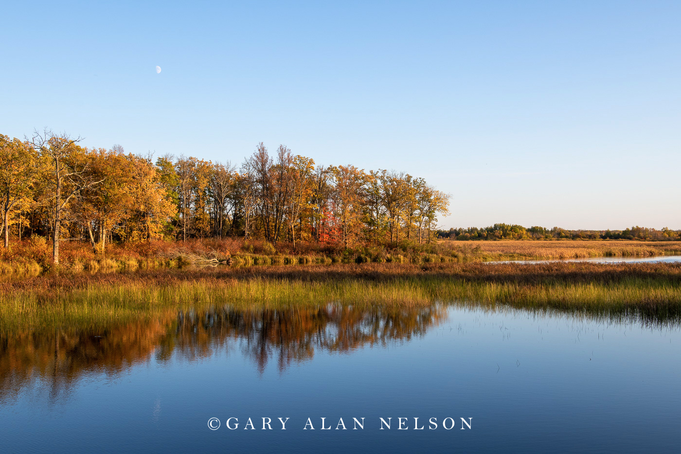 Rice River in autumn, Rice Lake National Wildlife Area, Minnesota
