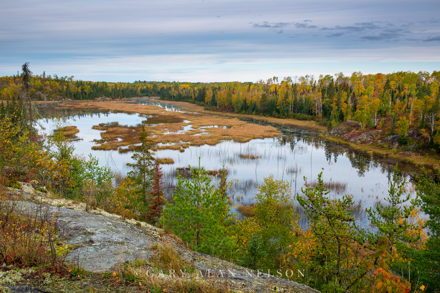 Autumn along marsh in the Superior National Forest, Minnesota