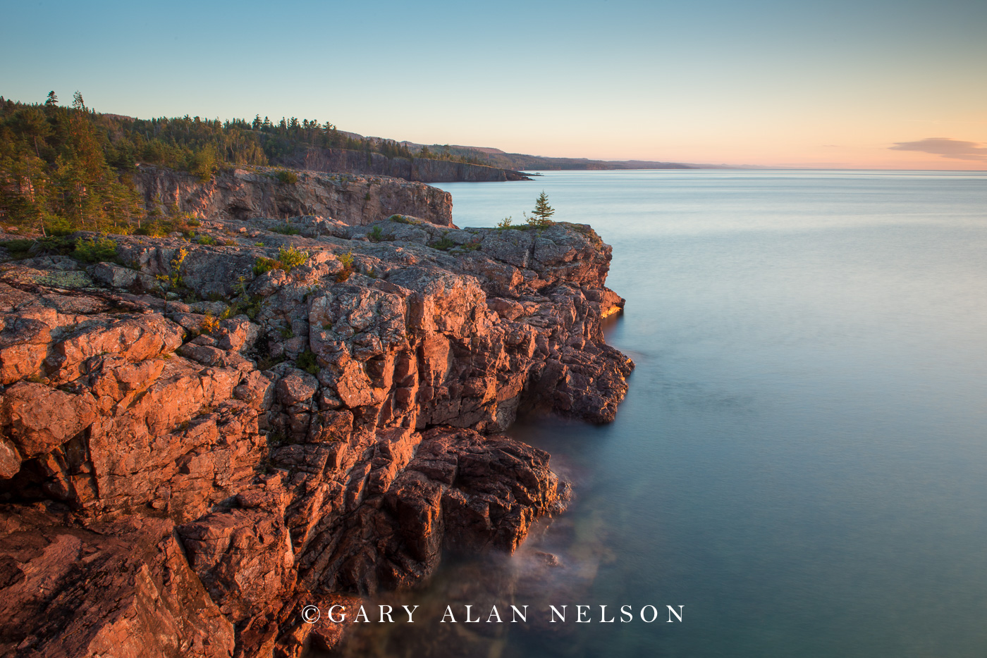 Lone tree on rocky outcrop over Lake Superior, Minnesota