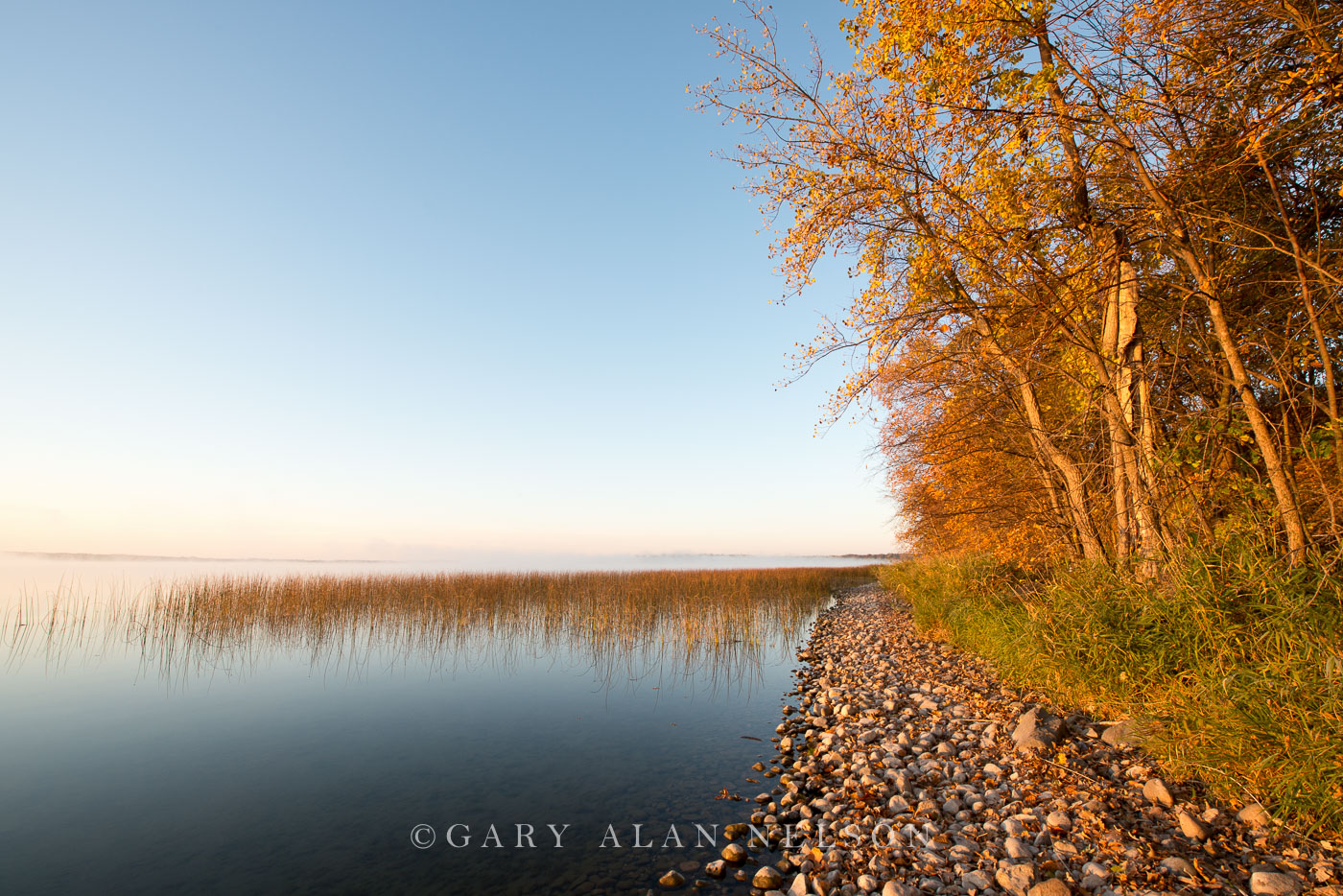 Morning light along the shore of Lake Mary, Douglas County, Minnesota