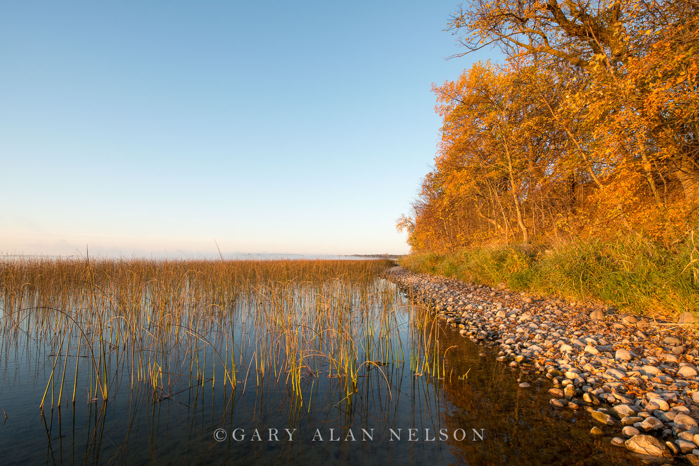 Morning light along the shore of Lake Mary, Douglas County, Minnesota