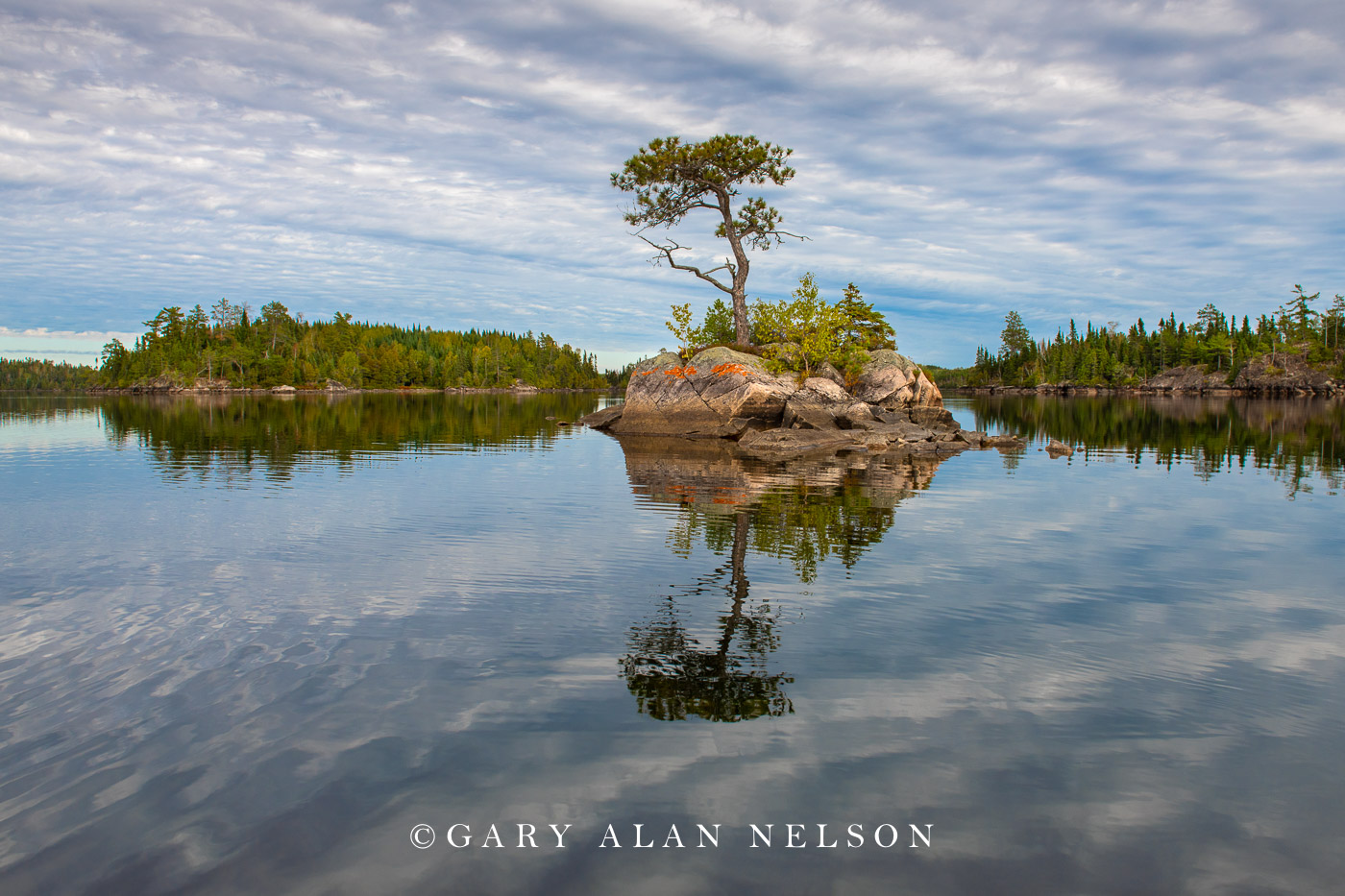 Island on Seagull Lake, Boundary Waters Canoe Area Wilderness, Minnesota