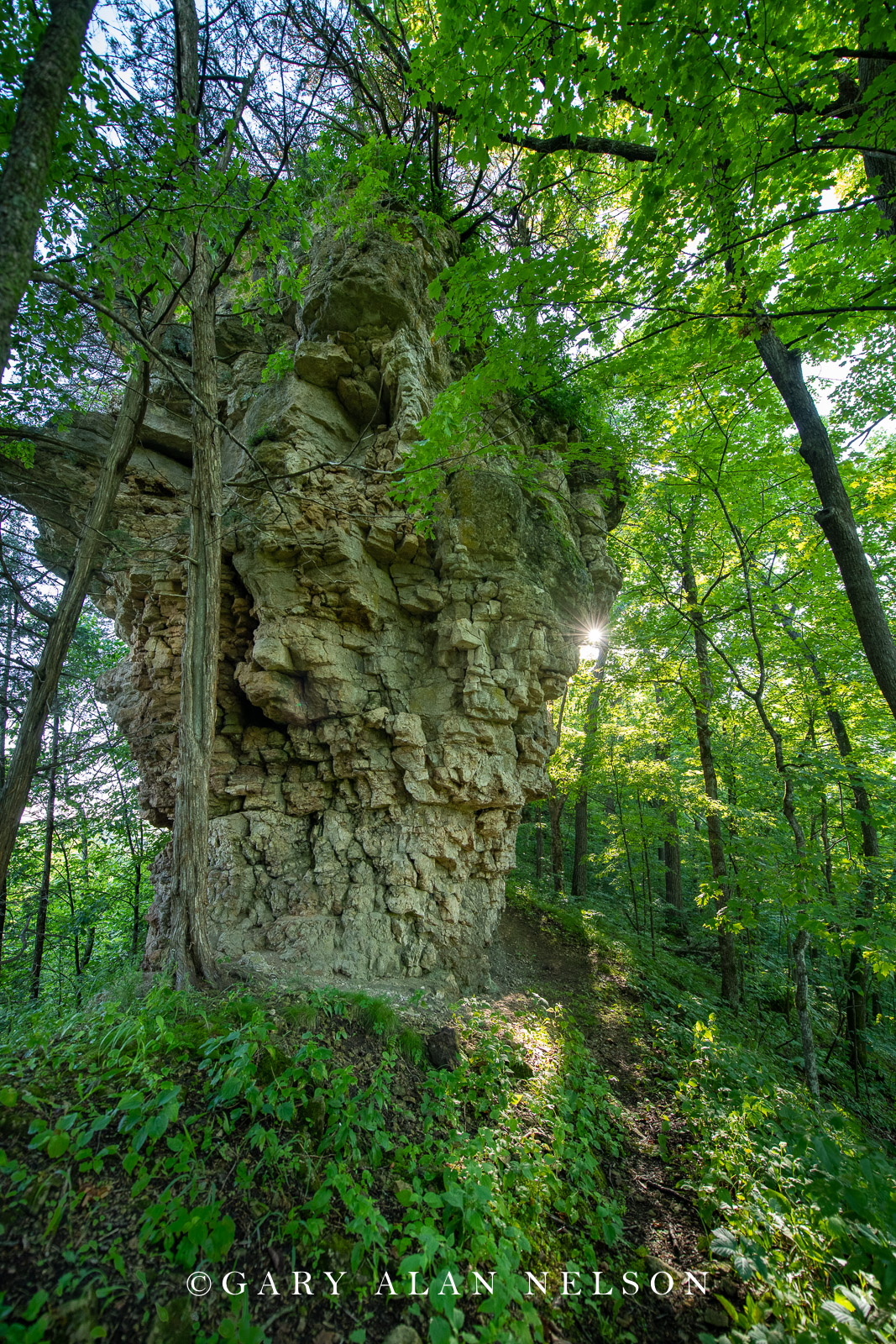 Cabbage Rocks, Richard J. Dorer Memorial Hardwood State Forest, Minnesota
