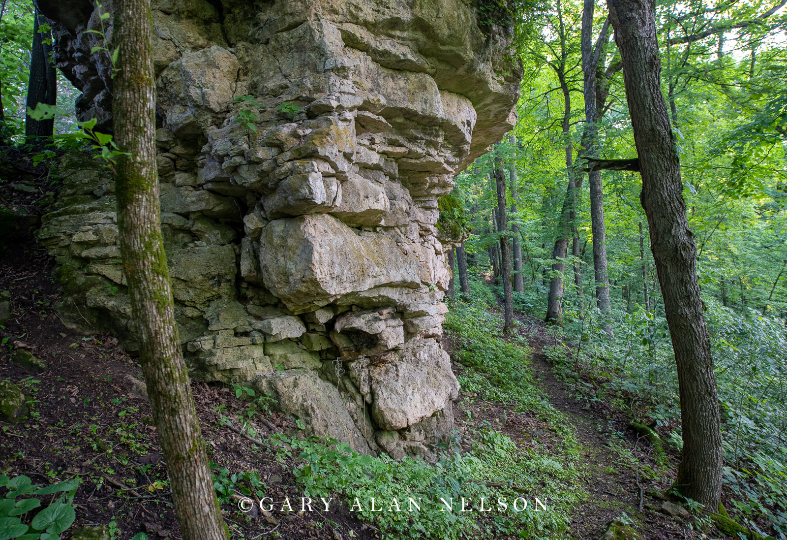 Cabbage Rocks, Richard J. Dorer Memorial Hardwood State Forest, Minnesota