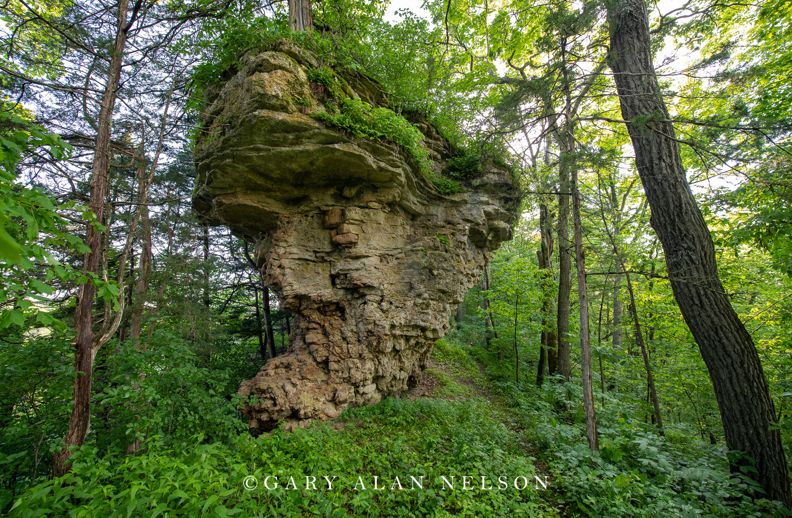 Cabbage Rocks, Richard J. Dorer Memorial Hardwood State Forest, Minnesota