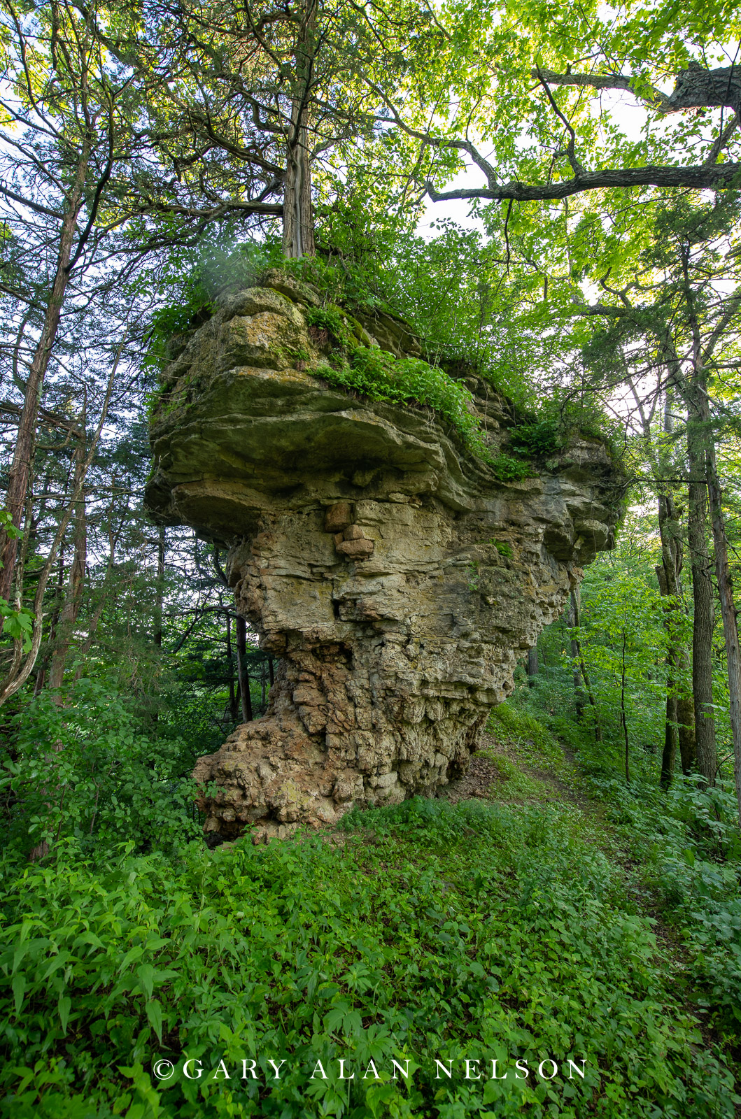 Cabbage Rocks, Richard J. Dorer Memorial Hardwood State Forest, Minnesota