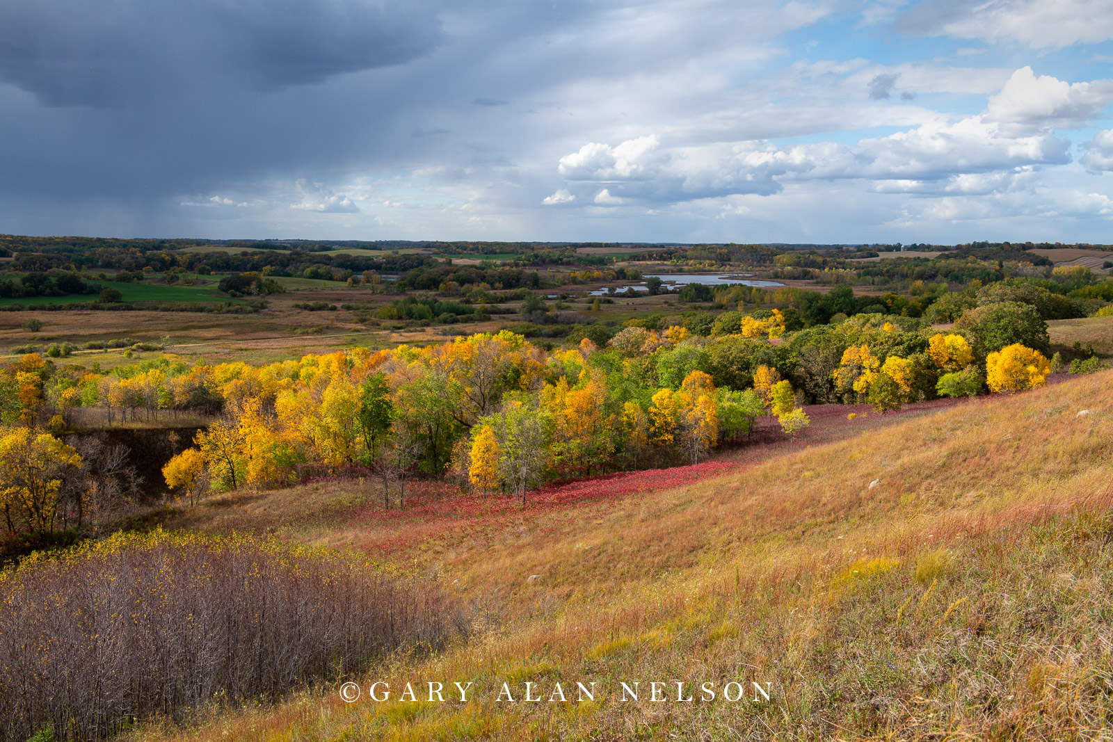 Rolling glacial landscape from the Nature Conservancy's Seven Sisters prairie, Ottertail COunty, Minnesota