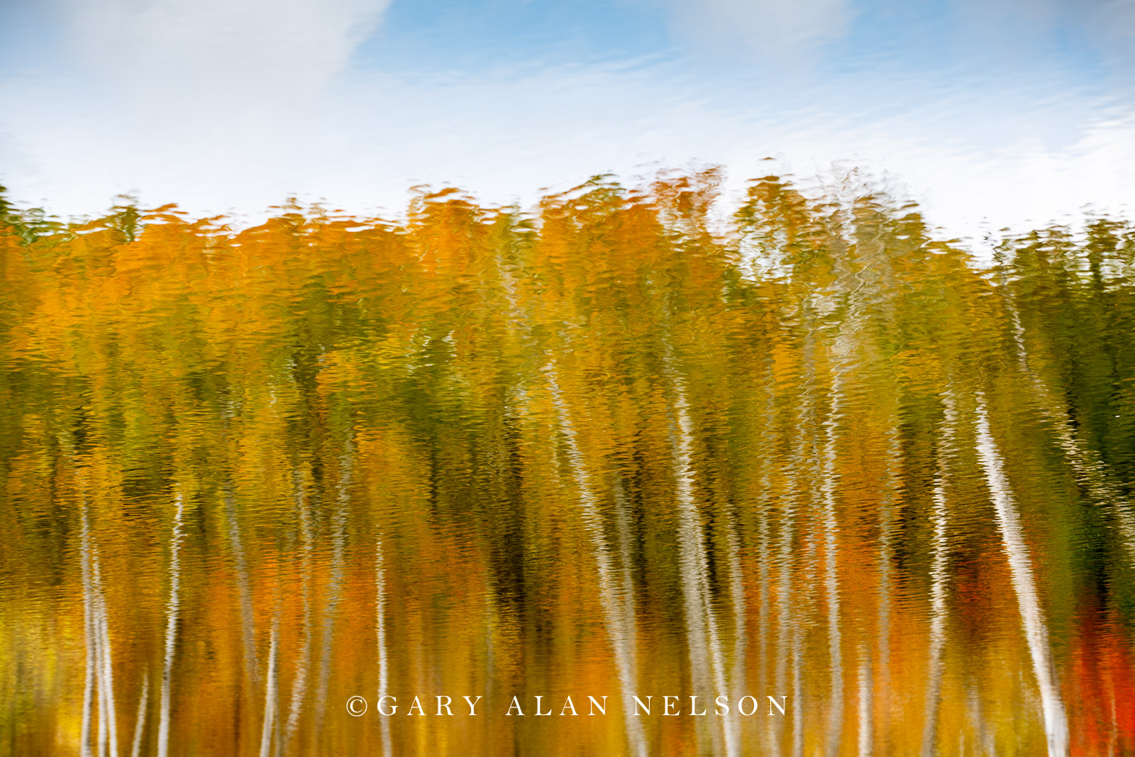 Autumn reflections on pond, Maplewood State Park, Minnesota