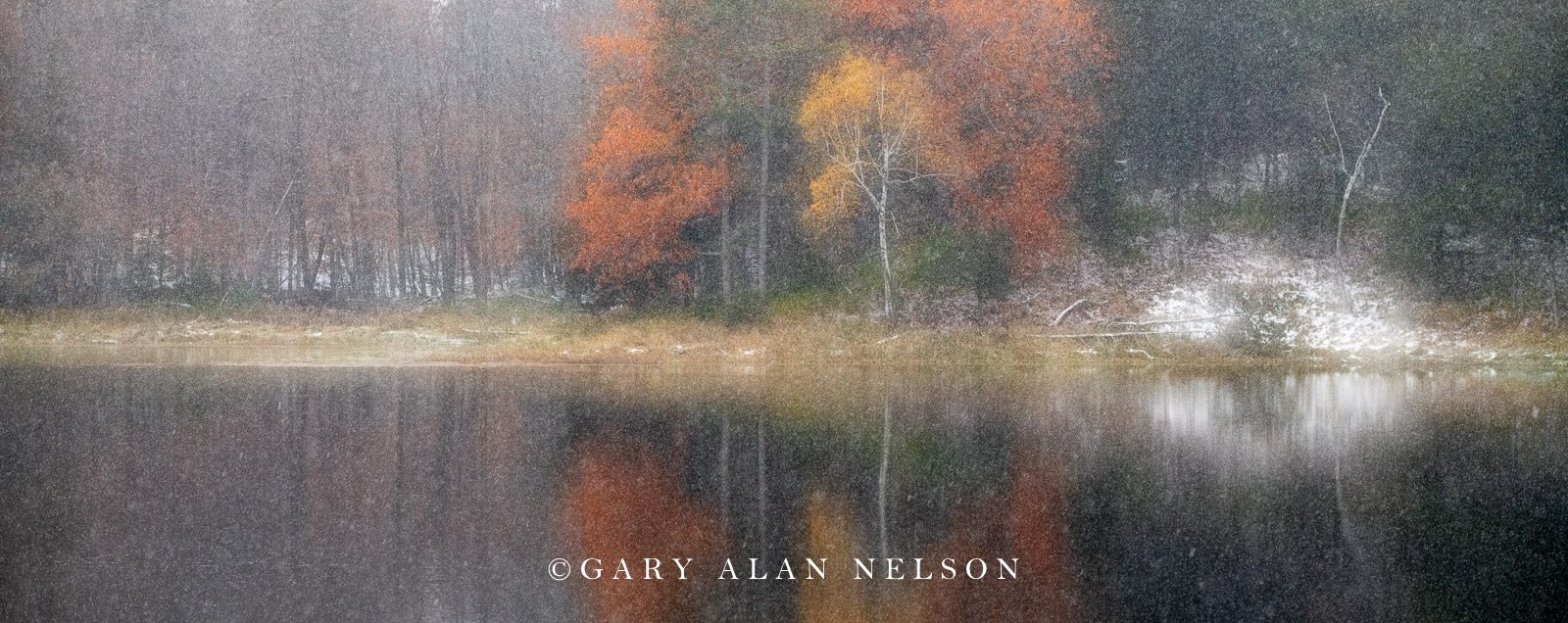 Autumn snowfall on Bull Lake, Allemansratt Park, Lindstrom, Minnesota