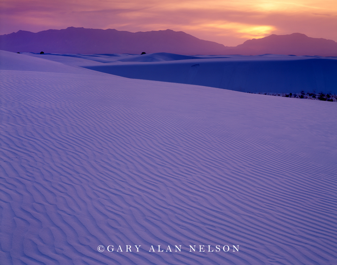 NM-96-2-NP GYPSUM DUNES AND THE SAN ANDRES MOUNTAINS AT DUSK, WHITE SANDS NATIONAL MONUMENT, NEW MEXICO