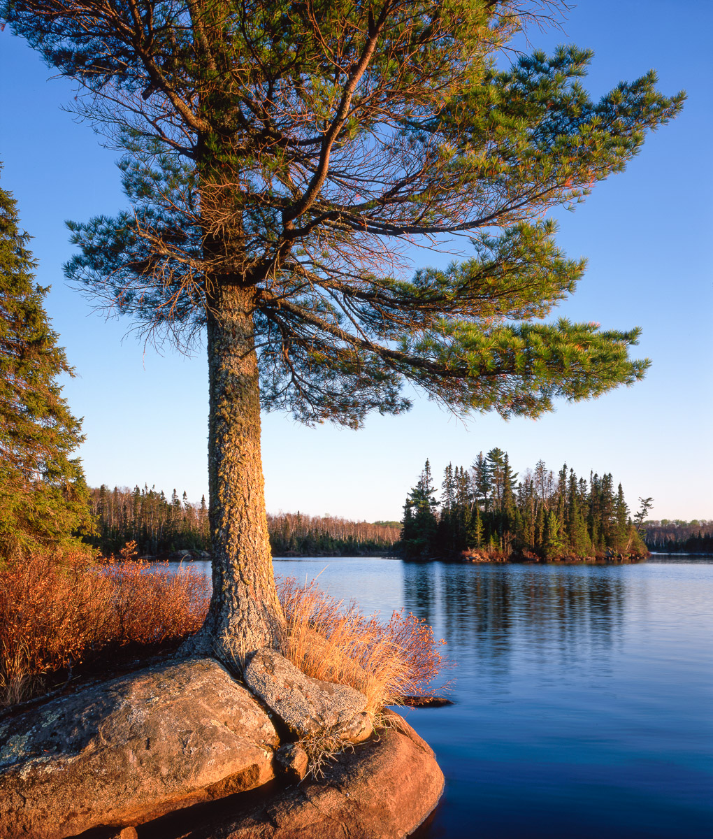 MN0136VBW Gary Alan Nelson Photography