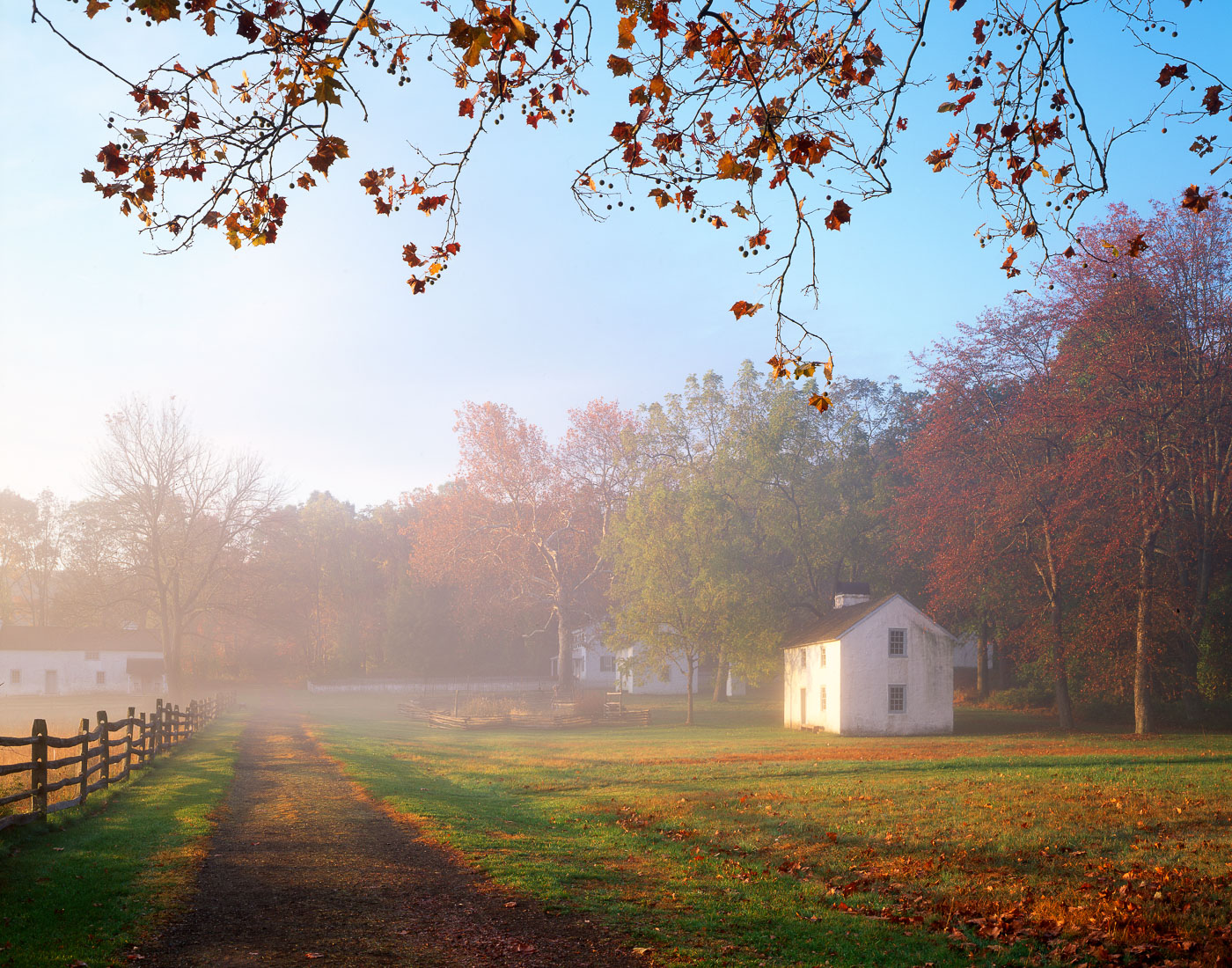 Fog rising over country road leading into Hopewell Furnace National Historic Site, Pennsylvania