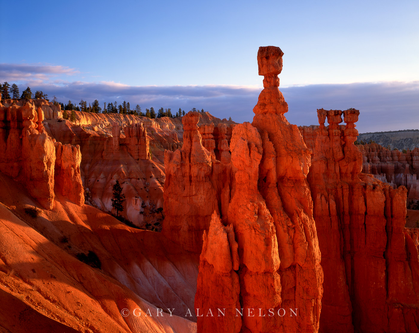 UT-02-6-NP Early light reflecting onto Thors Hammer and other hoodoos, Bryce Canyon National Park, Utah