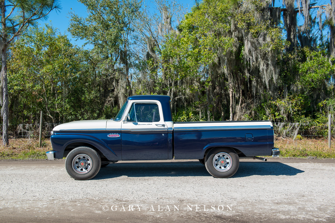 1965 Ford F-100