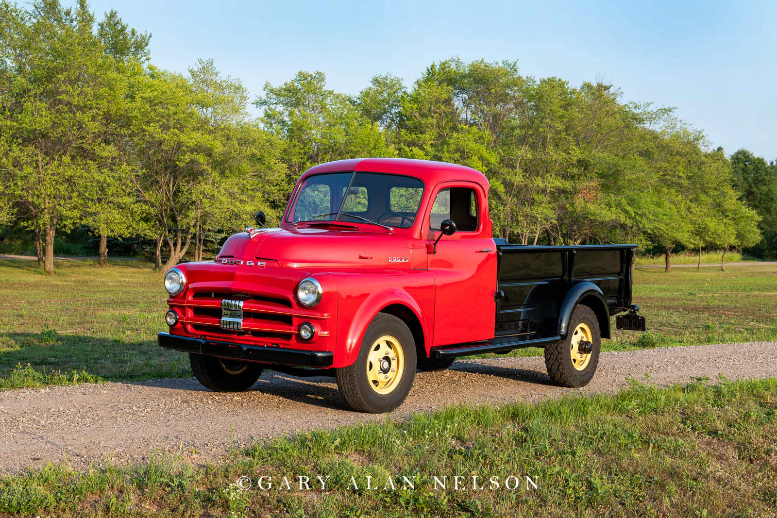 1951 Dodge B-3-D One-Ton Pickup