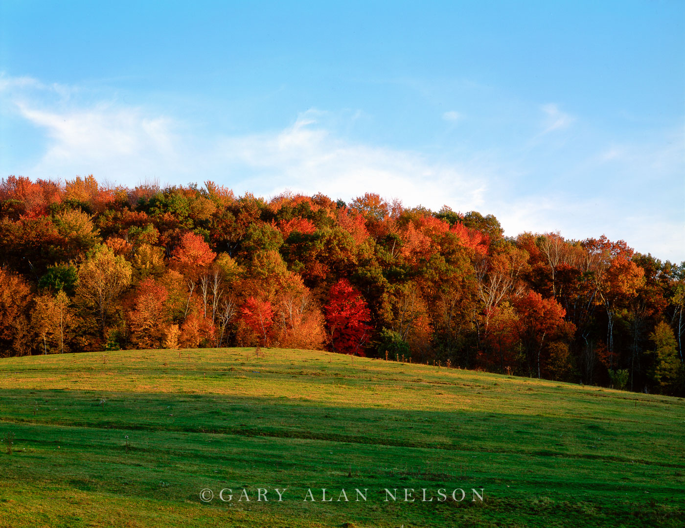 Autumn in Vernon County The Driftless Area, Vernon County, Wisconsin Gary Alan Nelson