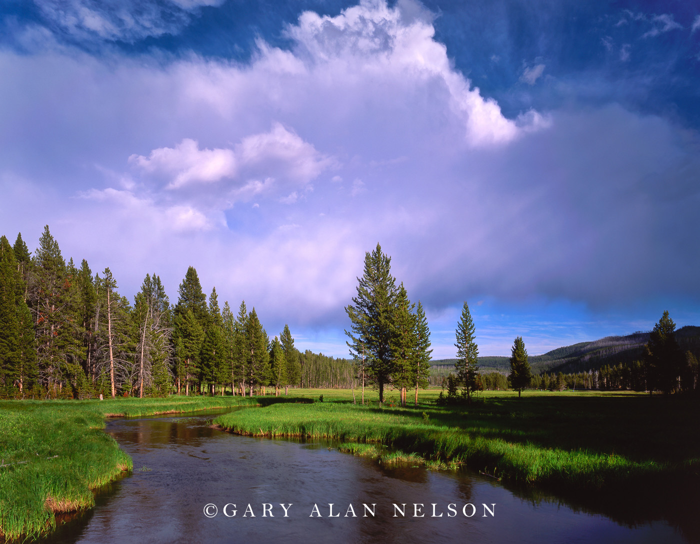 The Gibbon River Yellowstone National Park, Wyoming Gary Alan